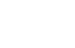 Vallarta y Bahía Real Estate