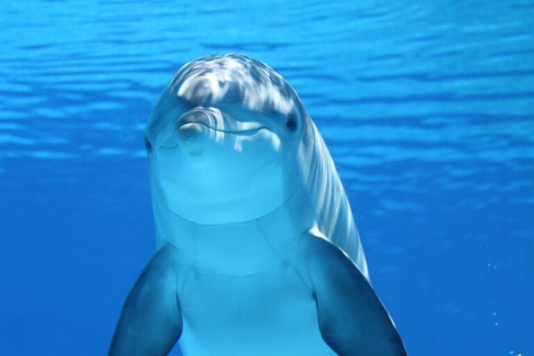 Primavera en Riviera Nayarit: Abril, Clave para Tu Propiedad Soñada