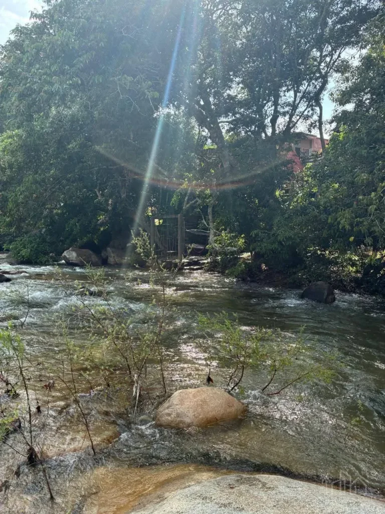 Foto 47